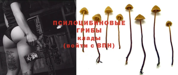 хмурый Абинск
