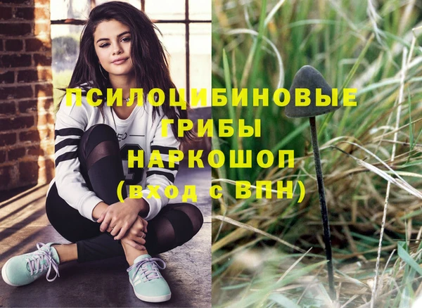 прущий лед Абаза