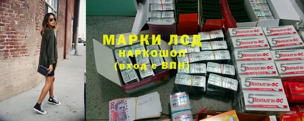 ГАЛЛЮЦИНОГЕННЫЕ ГРИБЫ Алзамай